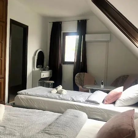 Aniiza 厄尔韦涅什